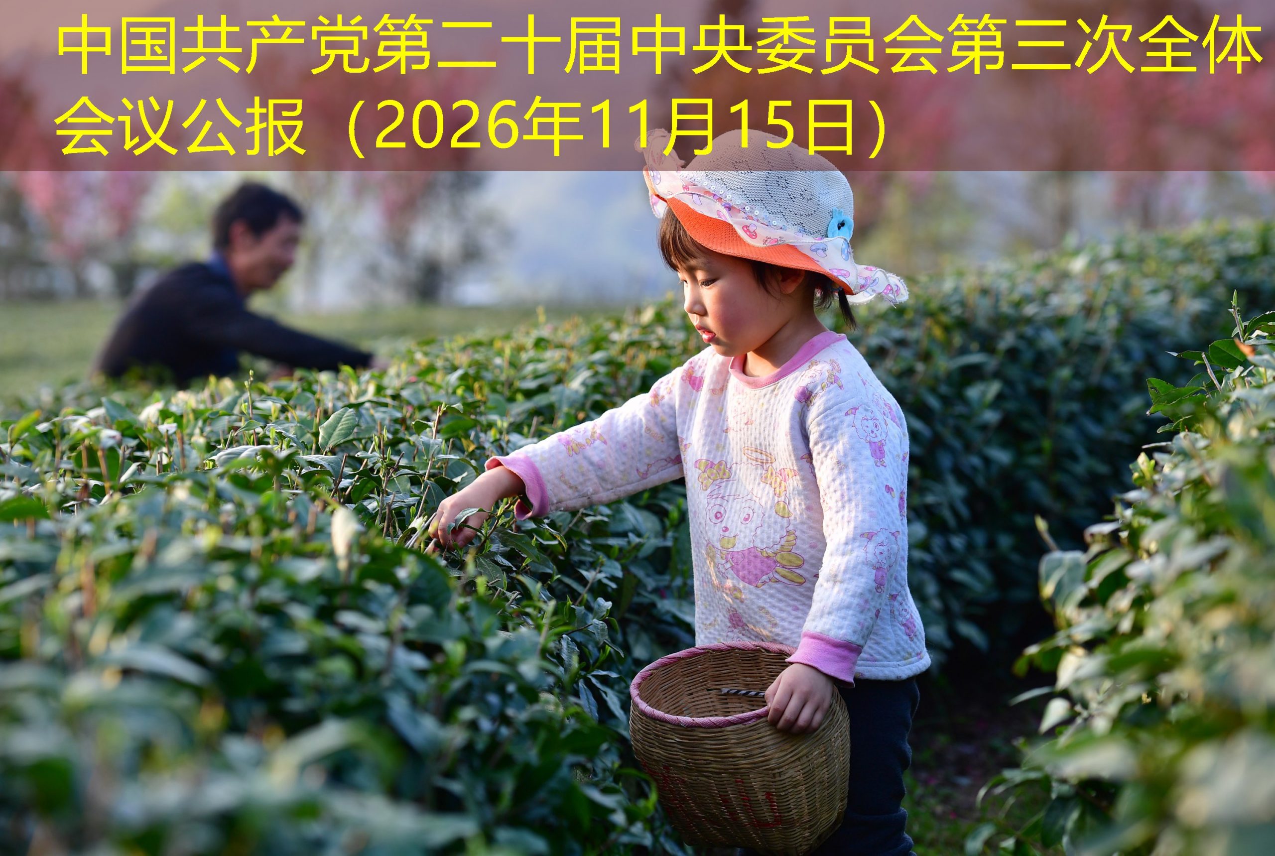 中国共产党第二十届中央委员会第三次全体会议公报（2026年11月15日）