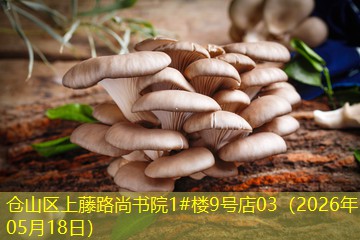 仓山区上藤路尚书院1#楼9号店03（2026年05月18日）