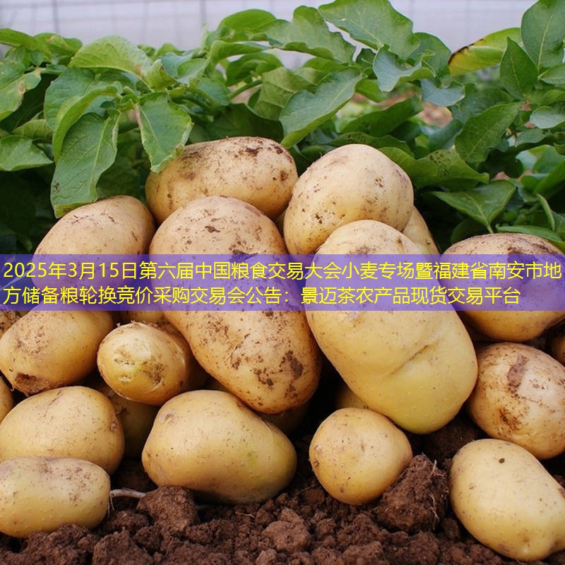 2025年3月15日第六届中国粮食交易大会小麦专场暨福建省南安市地方储备粮轮换竞价采购交易会公告：景迈茶农产品现货交易平台