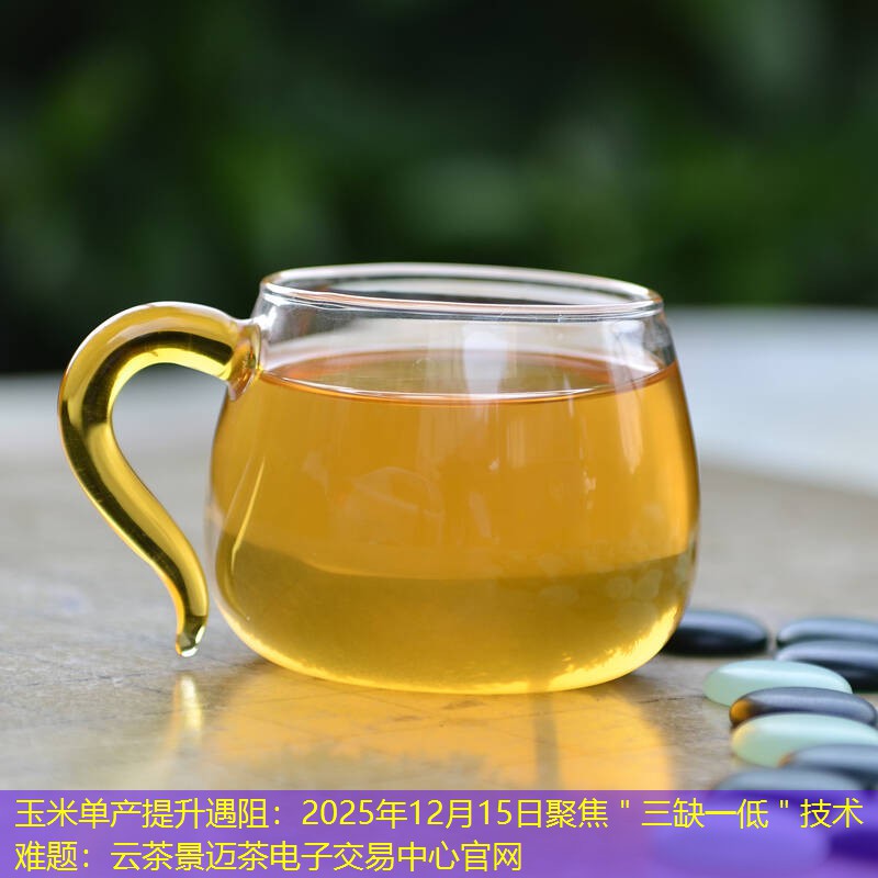 玉米单产提升遇阻：2025年12月15日聚焦＂三缺一低＂技术难题