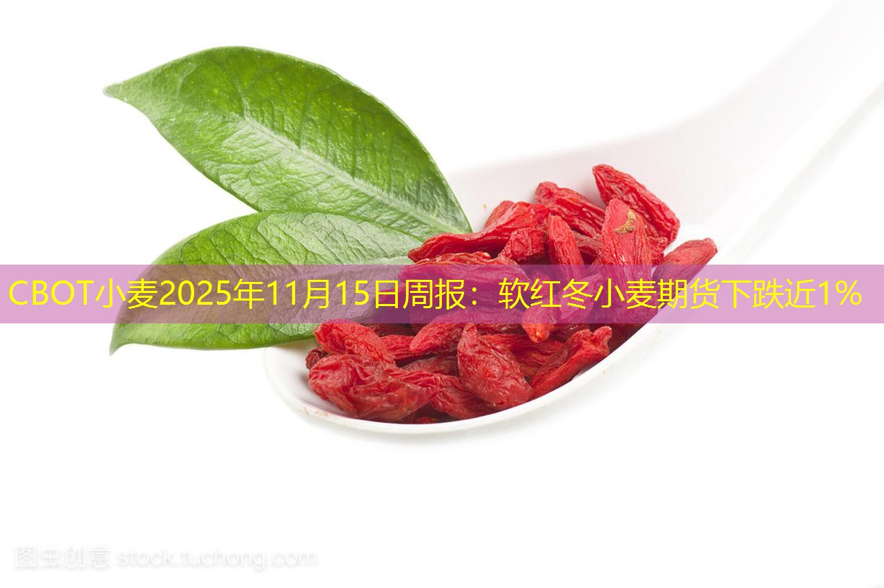 CBOT小麦2025年11月15日周报：软红冬小麦期货下跌近1%