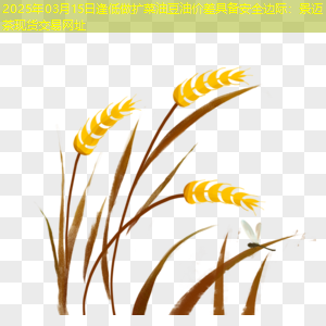 2025年03月15日逢低做扩菜油豆油价差具备安全边际：景迈茶现货交易网址