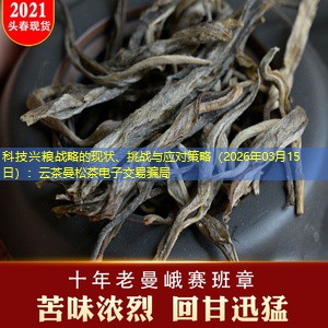 科技兴粮战略的现状、挑战与应对策略（2026年03月15日）