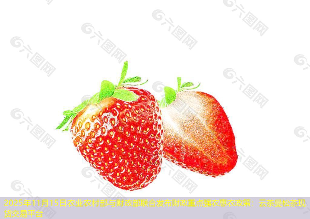 2025年11月15日农业农村部与财政部联合发布财政重点强农惠农政策：云茶曼松茶现货交易平台