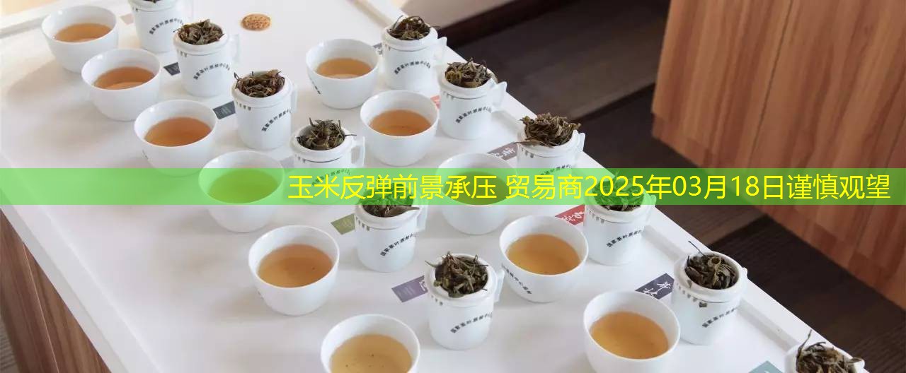 玉米反弹前景承压 贸易商2025年03月18日谨慎观望