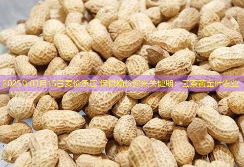 2025年03月15日麦价承压 保供稳价迎来关键期：云茶黄金叶农业