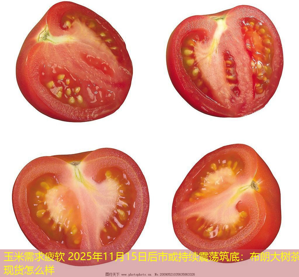 玉米需求疲软 2025年11月15日后市或持续震荡筑底：布朗大树茶现货怎么样