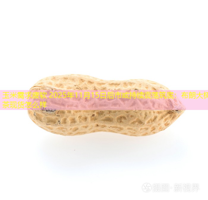 玉米需求疲软 2025年11月15日后市或持续震荡筑底