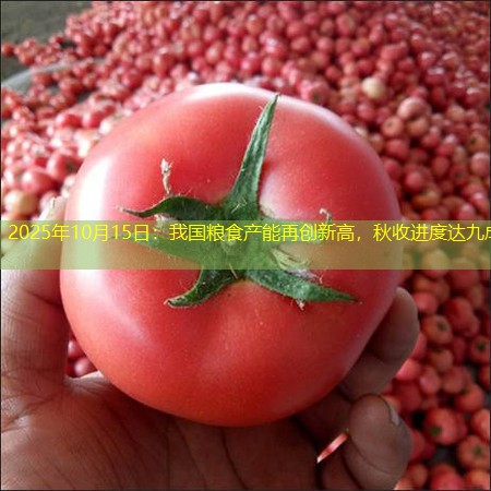 2025年10月15日：我国粮食产能再创新高，秋收进度达九成