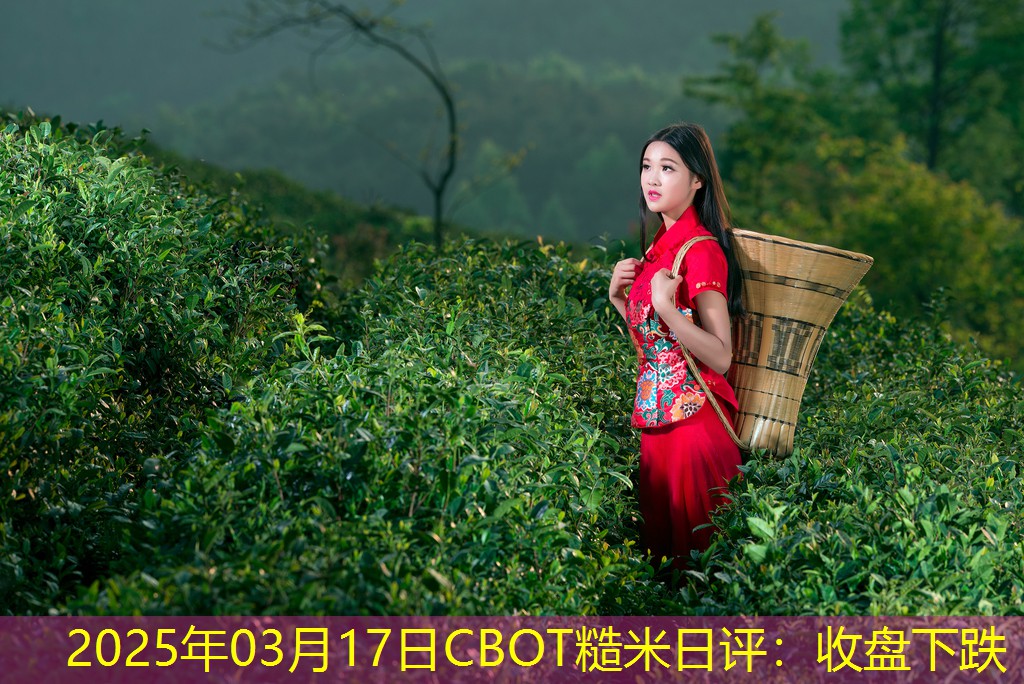 2025年03月17日CBOT糙米日评：收盘下跌