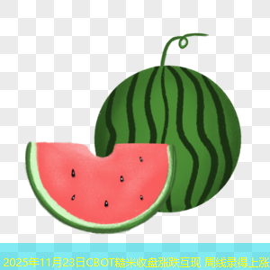 2025年11月23日CBOT糙米收盘涨跌互现 周线录得上涨