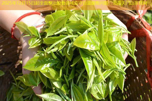 2025年12月15日起全面整治粮食领域监守自盗腐败问题