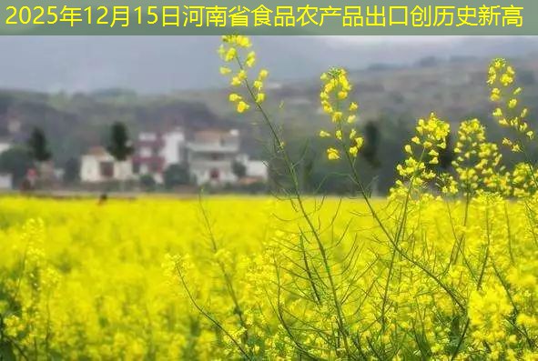 2025年12月15日河南省食品农产品出口创历史新高