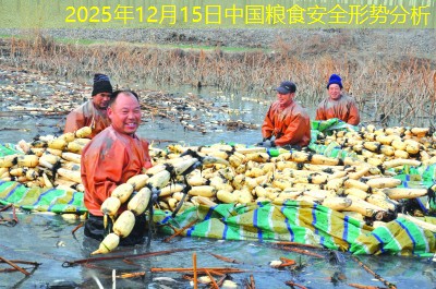 2025年12月15日中国粮食安全形势分析