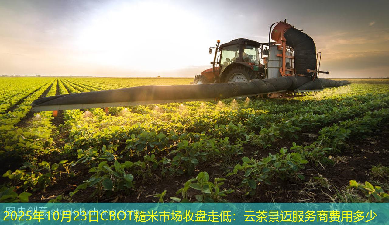 2025年10月23日CBOT糙米市场收盘走低