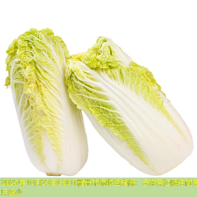 2025年10月23日CBOT糙米市场收盘走低