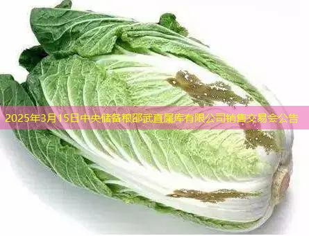 2025年3月15日中央储备粮邵武直属库有限公司销售交易会公告