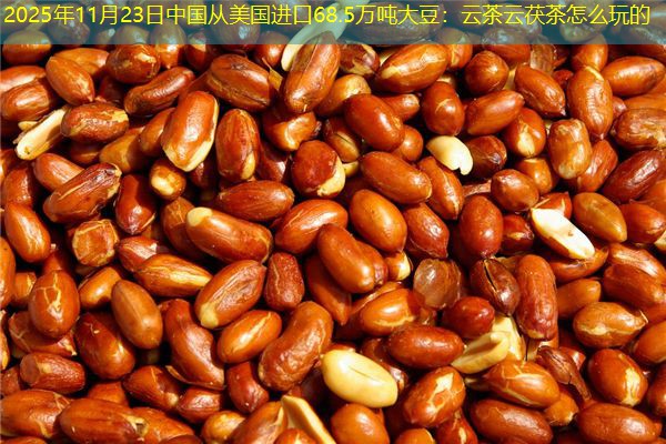 2025年11月23日中国从美国进口68.5万吨大豆：云茶云茯茶怎么玩的