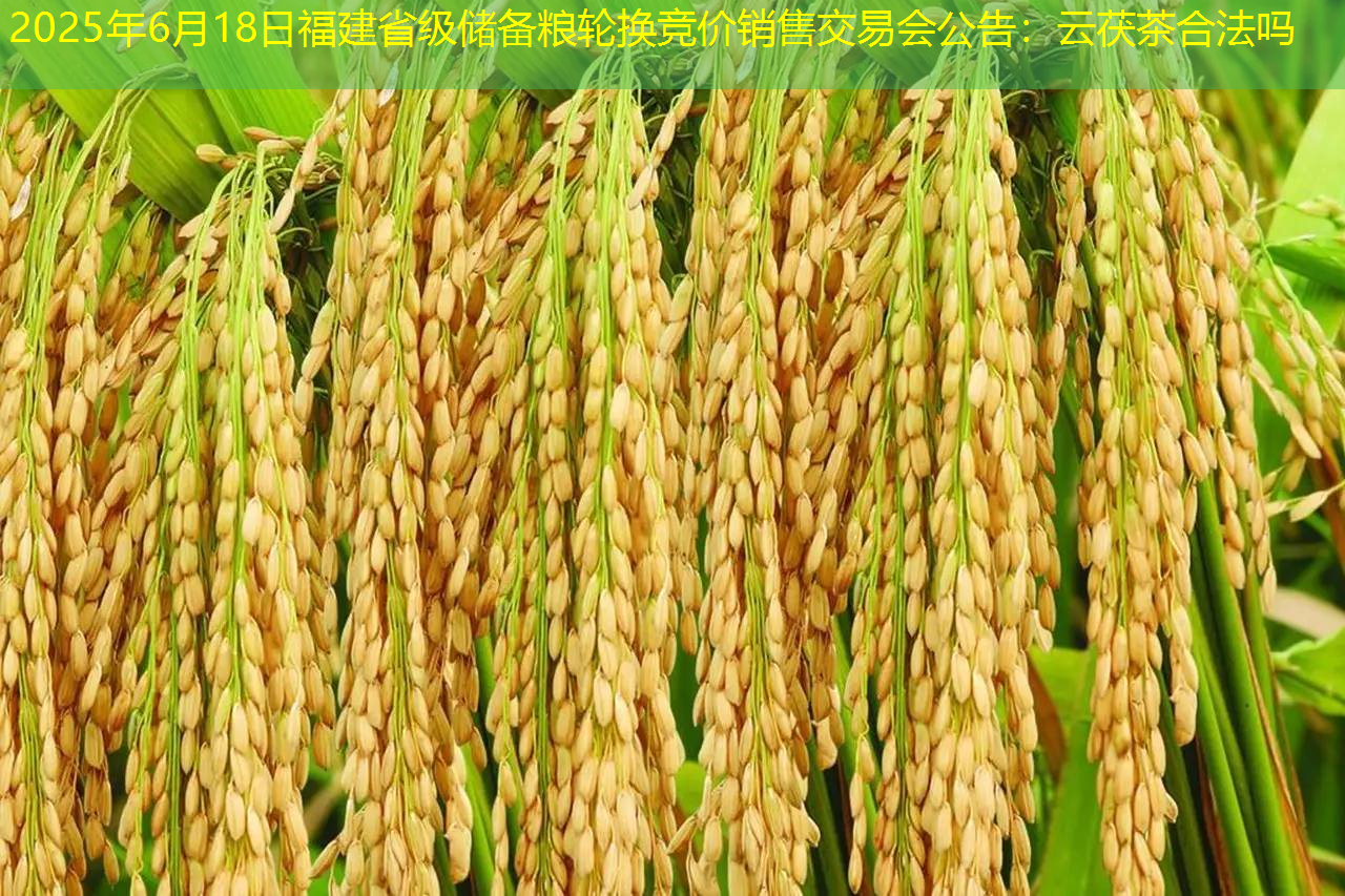2025年6月18日福建省级储备粮轮换竞价销售交易会公告