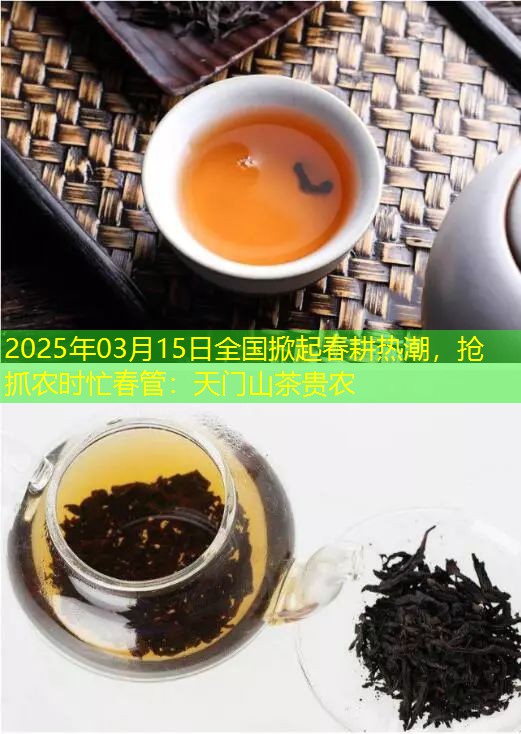 2025年03月15日全国掀起春耕热潮，抢抓农时忙春管