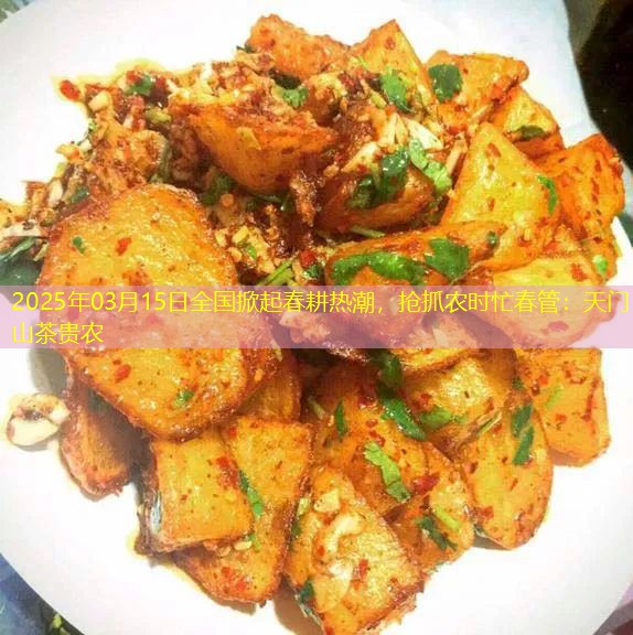 2025年03月15日全国掀起春耕热潮，抢抓农时忙春管