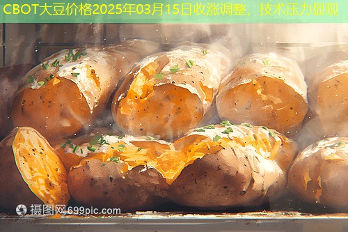 CBOT大豆价格2025年03月15日收涨调整，技术压力显现