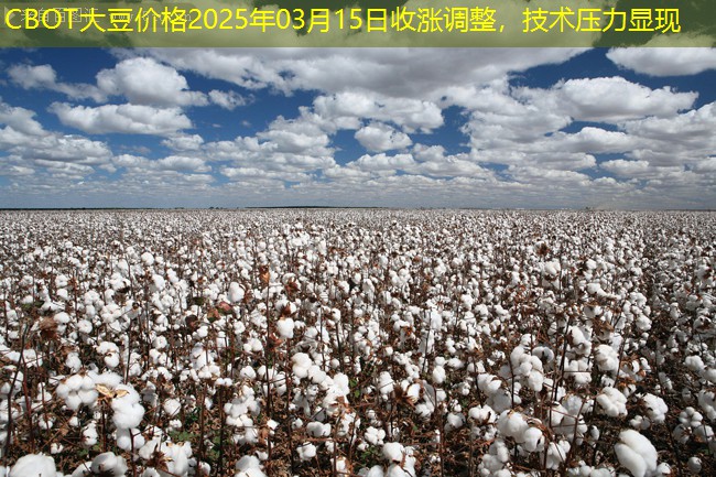 CBOT大豆价格2025年03月15日收涨调整，技术压力显现