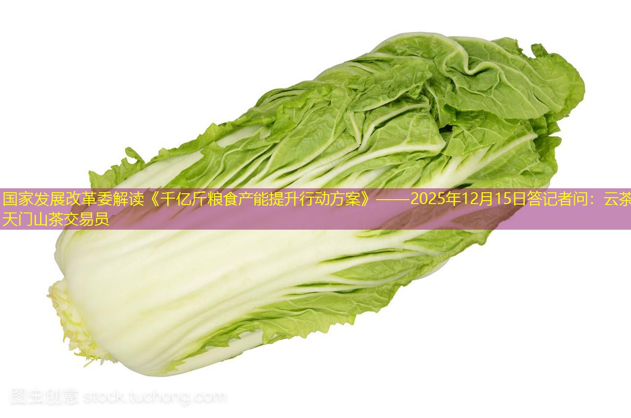 国家发展改革委解读《千亿斤粮食产能提升行动方案》——2025年12月15日答记者问：云茶天门山茶交易员
