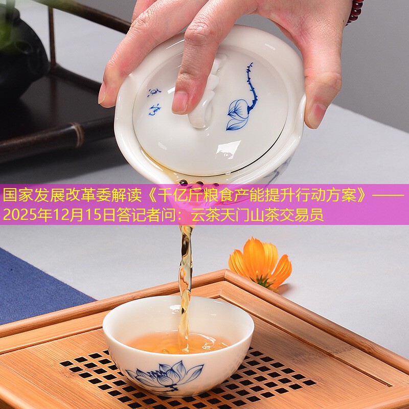 国家发展改革委解读《千亿斤粮食产能提升行动方案》——2025年12月15日答记者问