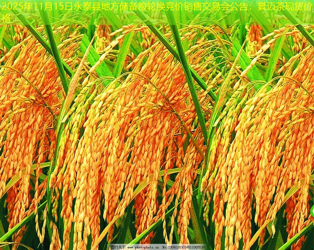 2025年11月15日永泰县地方储备粮轮换竞价销售交易会公告
