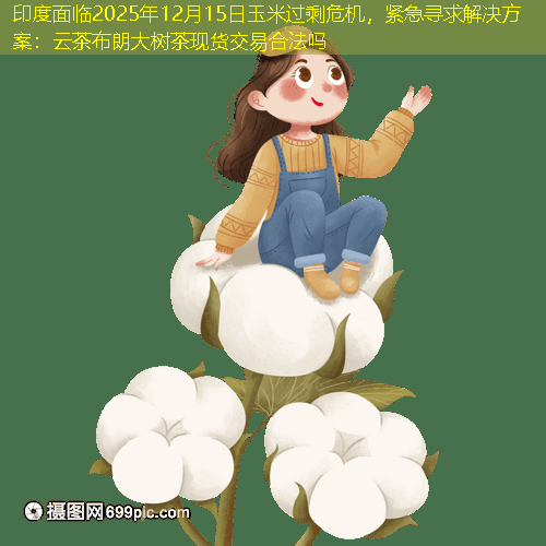 印度面临2025年12月15日玉米过剩危机，紧急寻求解决方案：云茶布朗大树茶现货交易合法吗