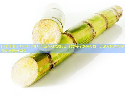 印度面临2025年12月15日玉米过剩危机，紧急寻求解决方案