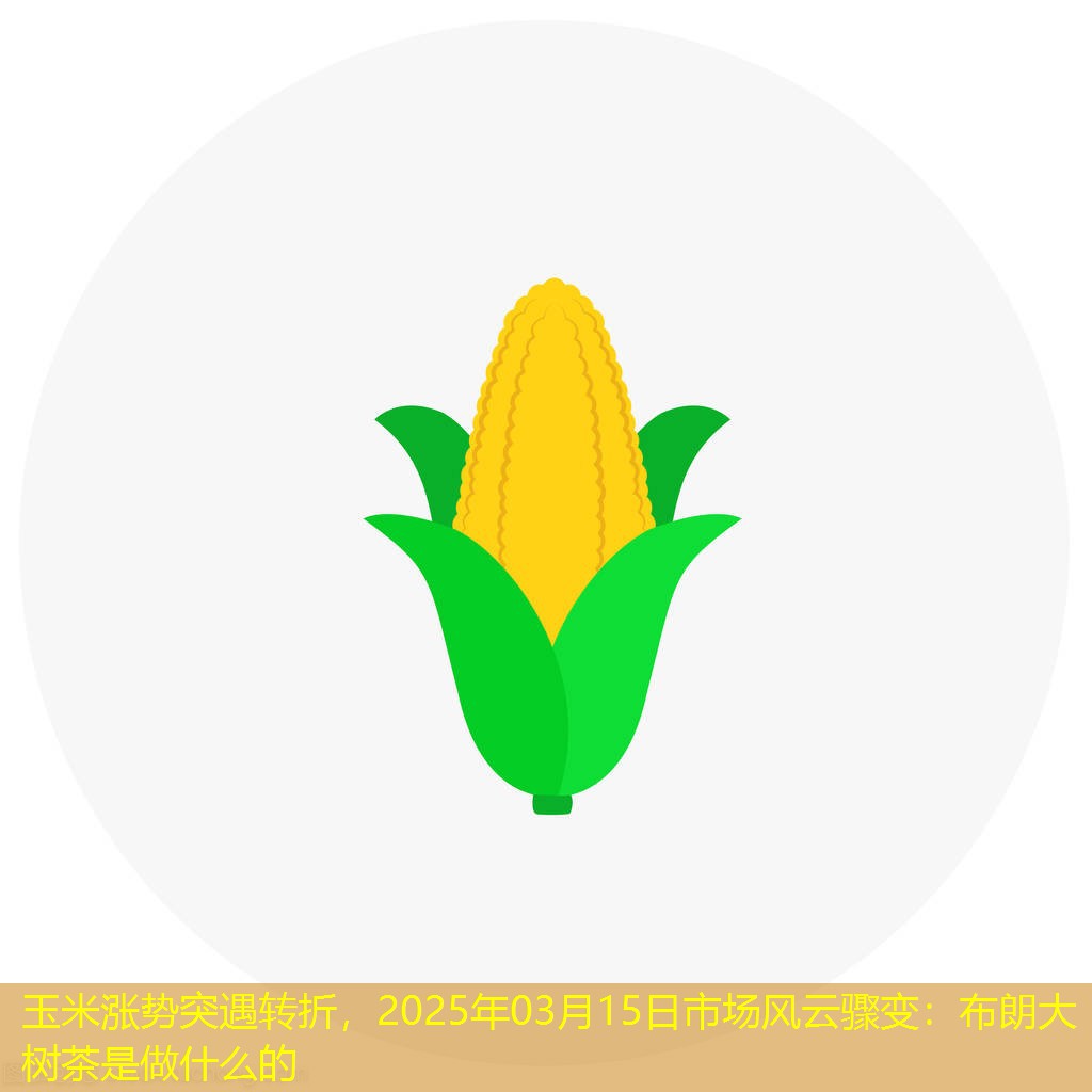 玉米涨势突遇转折，2025年03月15日市场风云骤变