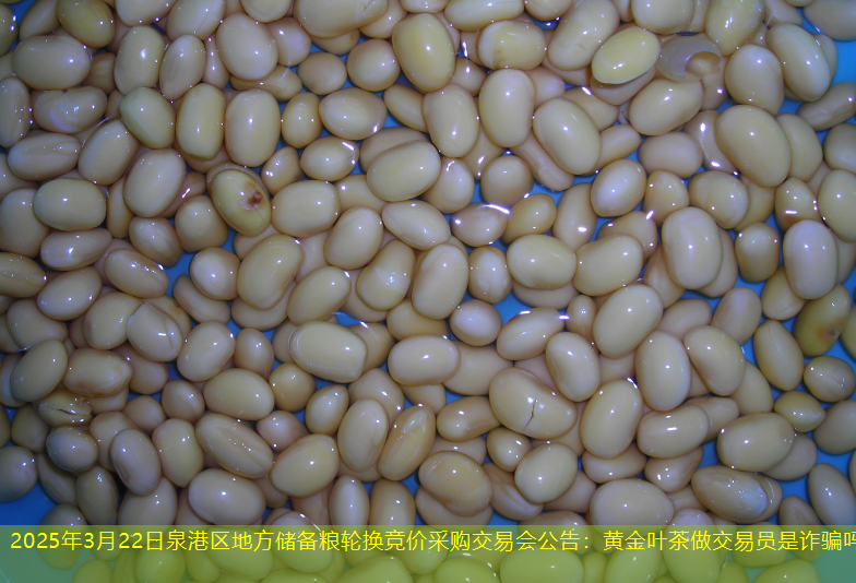 2025年3月22日泉港区地方储备粮轮换竞价采购交易会公告