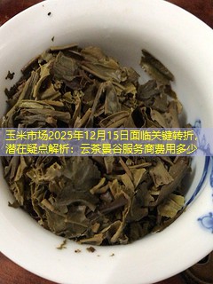 玉米市场2025年12月15日面临关键转折，潜在疑点解析：云茶景谷服务商费用多少