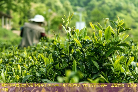 福州市粮食批发交易市场将于2025年06月12日举办“我们的节日·端午”主题活动
