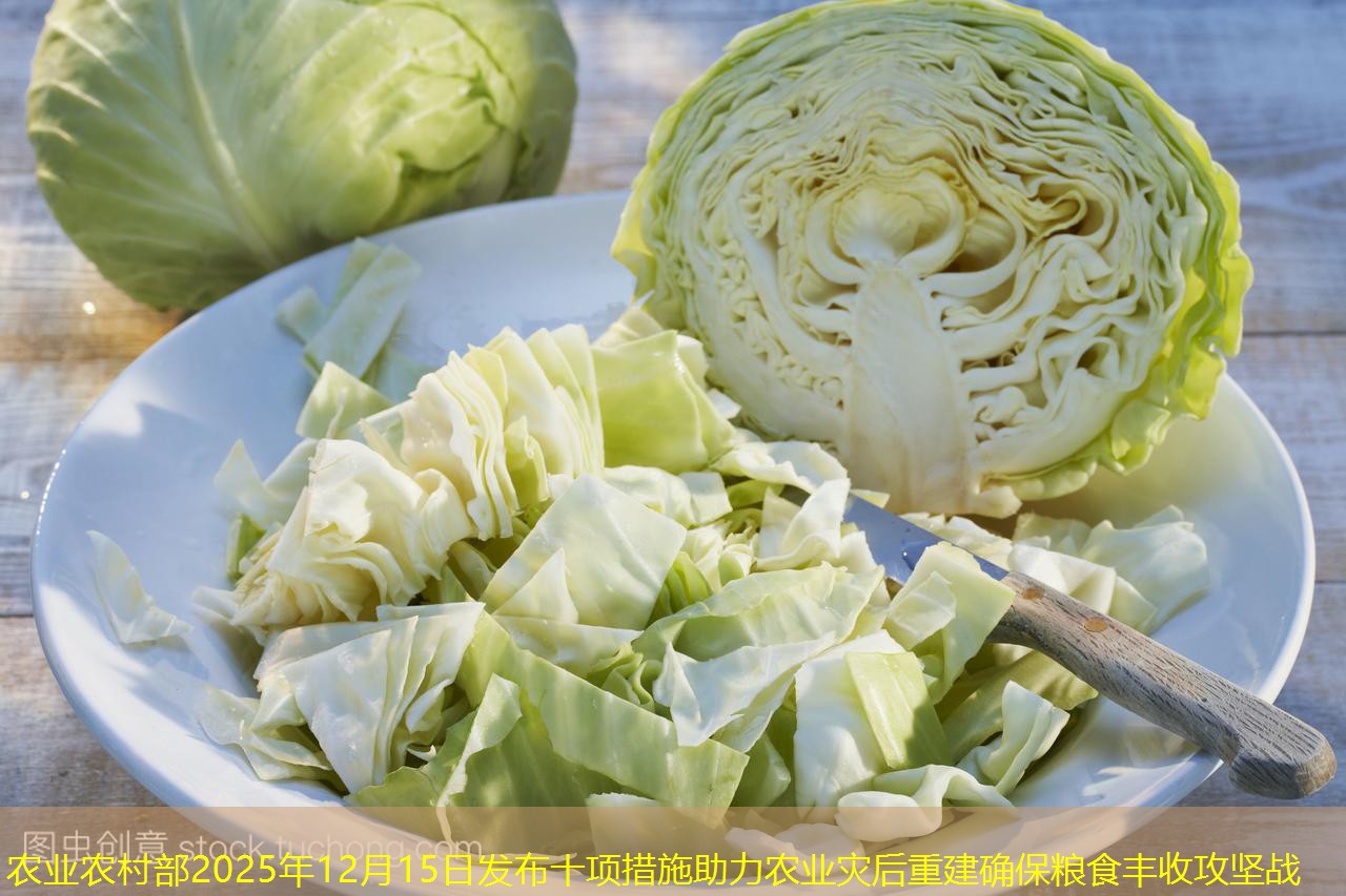 农业农村部2025年12月15日发布十项措施助力农业灾后重建确保粮食丰收攻坚战