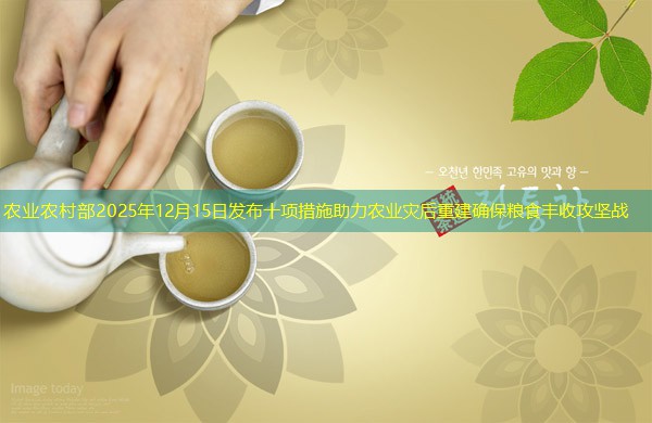 农业农村部2025年12月15日发布十项措施助力农业灾后重建确保粮食丰收攻坚战