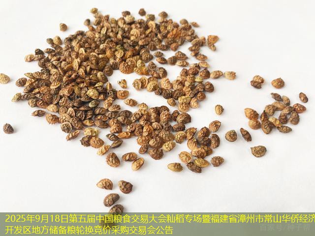2025年9月18日第五届中国粮食交易大会籼稻专场暨福建省漳州市常山华侨经济开发区地方储备粮轮换竞价采购交易会公告