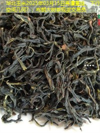 华北玉米2025年03月15日再遭重挫，下行空间几何？：布朗大树茶现货交易员