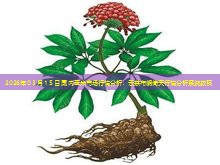 2026年03月15日国内玉米市场行情分析：云茶布朗倚天行情分析系统教程