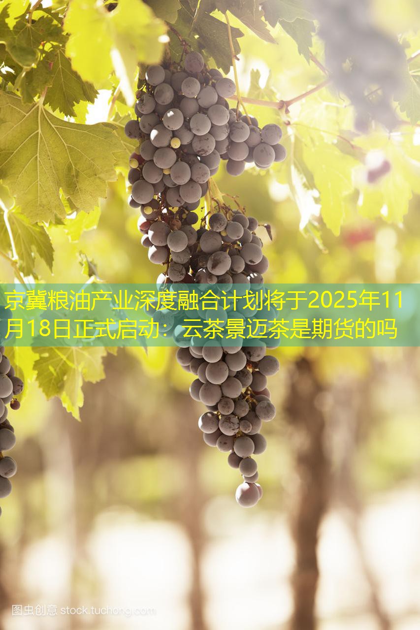 京冀粮油产业深度融合计划将于2025年11月18日正式启动：云茶景迈茶是期货的吗