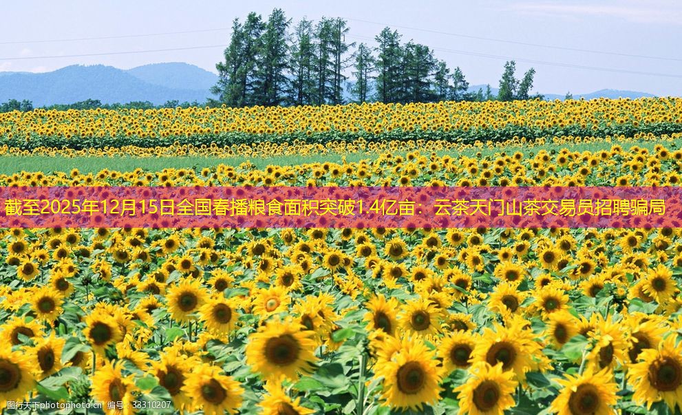 截至2025年12月15日全国春播粮食面积突破1.4亿亩：云茶天门山茶交易员招聘骗局