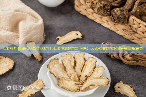 玉米涨势趋缓 2025年03月15日价格或继续下探：云茶布朗大树茶陶瓷现货官网