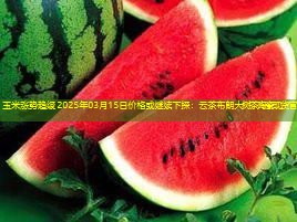 玉米涨势趋缓 2025年03月15日价格或继续下探