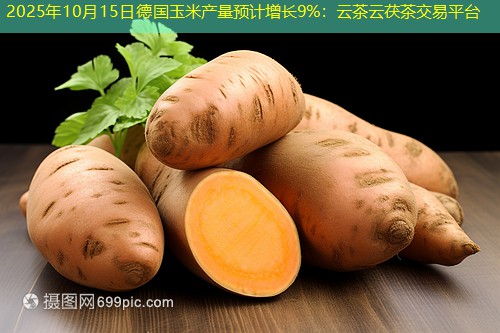 2025年10月15日德国玉米产量预计增长9%：云茶云茯茶交易平台