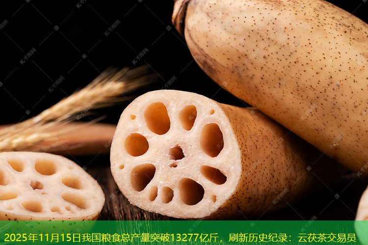 2025年11月15日我国粮食总产量突破13277亿斤，刷新历史纪录