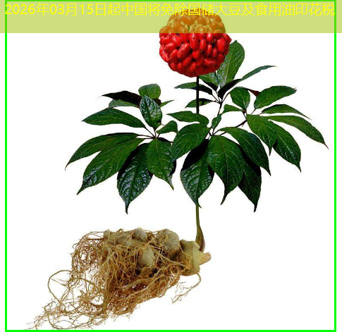 2026年03月15日起中国将免除国储大豆及食用油印花税