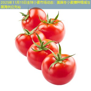 2025年11月15日全球小麦市场动态：美国冬小麦播种缩减与黑海供应充裕