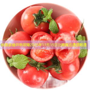 铁路多措并举保障2025年11月15日北粮南运通道畅通